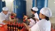 Làng mắm Cà Ná hối hả vào Tết nhưng lo ngại sức mua giảm