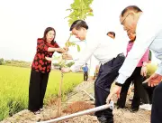 Cao Bằng và Hà Nội khởi động Tết trồng cây Xuân Bính Ngọ với kế hoạch chi tiết