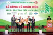 Cao su Chư Sê - Kampong Thom: Thành công ấn tượng với chứng chỉ xanh và tăng trưởng vượt bậc