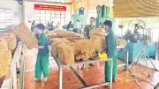 Các doanh nghiệp cao-su Quảng Ngãi đổi mới công nghệ, tối ưu quản trị để phát triển bền vững