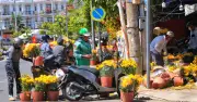 Chợ hoa Bình Đông cuối năm: Xả hàng, tặng hoa miễn phí trước giao thừa