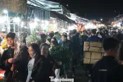 Chợ Hoa Quảng Bá Tấp Nập Đêm Khuya, Giá Hoa Tăng Mạnh Dịp Cận Tết