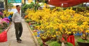 Chợ hoa Tết TP.HCM rộn ràng, tiểu thương phấn khởi nhờ bán đúng giá