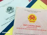 Chủ tịch xã được ra quyết định xử phạt vi phạm đất đai tối đa 250 triệu đồng