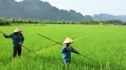 Chương trình đào tạo nghề cho lao động nông thôn: Mục tiêu 1,5 triệu người mỗi năm đến 2030