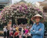 Chặt Bỏ Giàn Hoa Giấy Vì Bị Biến Thành Điểm Check-in Ồn Ào