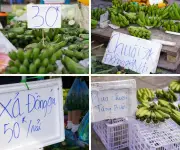 Chuối xanh cúng Tết ế ẩm, giá giảm sâu trước thềm năm mới