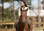 Cưỡi Ngựa Khám Phá Rừng Già Măng Đen: Điểm Nhấn Du Lịch Đầu Năm