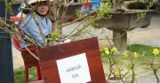Cần Thơ: Tiểu thương hoa Tết giảm giá mạnh, sốt ruột chờ khách trước thềm giao thừa