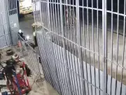 Công an TP.HCM bắt 8 đối tượng chém người cướp tài sản ở Phú Giáo