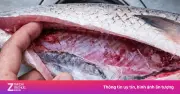 Cảnh báo: Những bộ phận cá chứa ký sinh trùng, kim loại nặng cần làm sạch kỹ