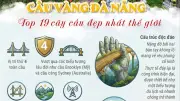 Cầu Vàng Đà Nẵng lọt top 19 cây cầu đẹp nhất thế giới