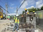 Dự án Quốc lộ 91 Cần Thơ chậm tiến độ nghiêm trọng, chỉ đạt 0,69% sau nửa năm