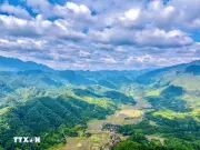 Du Lịch Rừng Biển Hấp Dẫn Du Khách Những Ngày Đầu Xuân