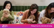 Gen Z Trung Quốc Gây Sốt Với Xu Hướng Tổ Chức Tiệc Sinh Nhật Cho Thú Cưng