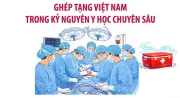 Ghép tạng Việt Nam bước vào kỷ nguyên y học chuyên sâu, cá thể hóa