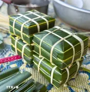 Gói Bánh Chưng Khuôn Lá Dừa: Nét Đẹp Văn Hóa Độc Đáo Của Cư Dân Làng Biển Diễn Châu