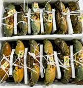 Giá Cua Cà Mau Vọt Lên 1,1 Triệu Đồng/kg, Tạo Động Lực Cho Ngư Dân Vùng Biển