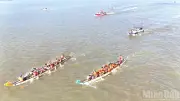 Giải Đua Thuyền Trên Sông Đồng Nai 2026: Sôi Động Với Hơn 100 Vận Động Viên