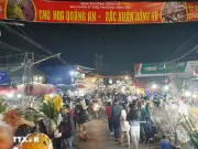 Hà Nội: Đêm không ngủ tại chợ hoa Tết Quảng An, nhộn nhịp sắc xuân