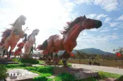 Hình tượng con ngựa: Biểu trưng cho sự kiên cường, bền bỉ và tinh thần mã đạo thành công