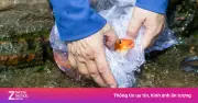 Người dân TP.HCM thuê ghe ra giữa sông tiễn ông Công, ông Táo