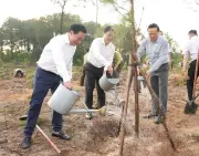 Huế Phát Động Tết Trồng Cây Xuân Bính Ngọ 2026, Hướng Tới Phát Triển Xanh Bền Vững