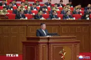 Điện Chúc Mừng Tổng Bí Thư, Chủ Tịch Triều Tiên Kim Jong Un