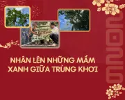 Kỳ tích xanh hóa đảo Sinh Tồn: Biến cát san hô thành 'vàng xanh' giữa biển khơi