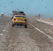 Khoảnh khắc 'tận thế' khi lái xe qua đàn châu chấu khổng lồ ở sa mạc Sahara