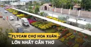 Chợ Hoa Xuân lớn nhất Cần Thơ: Người bán không tốn tiền thuê sạp