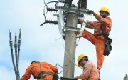 Lịch cúp điện Đồng Tháp, Tiền Giang tuần này (16-22/2/2026): Khu vực nào bị ảnh hưởng?