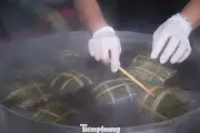 Làng Vĩnh Hòa - Nghệ An tất bật gói bánh chưng phục vụ Tết, duy trì nghề truyền thống gần 80 năm