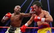 Mayweather vs Pacquiao tái đấu: Trận đấu thế kỷ hứa hẹn bùng nổ trên Netflix