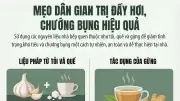 Mẹo Dân Gian Trị Đầy Hơi Chướng Bụng Hiệu Quả, An Toàn Tại Nhà