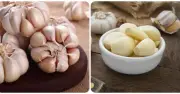Ăn hai tép tỏi mỗi sáng: Lợi ích sức khỏe và những lưu ý quan trọng