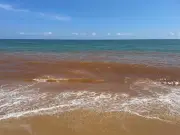 Nước biển Nha Trang chuyển màu nâu đỏ bất thường, nghi ngờ hiện tượng thủy triều đỏ