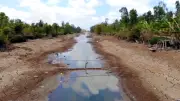 Đồng bằng sông Cửu Long: Xâm nhập mặn thấp hơn năm cực đoan, vẫn cảnh giác cao điểm