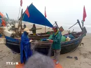 Ngư dân Thanh Hóa hối hả ra khơi trong những ngày đầu năm mới