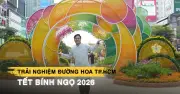 Đường Hoa Nguyễn Huệ Tết Bính Ngọ 2026: Hội Tụ Siêu Đô Thị Và Công Nghệ AR