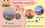 Đường Hoa Tết Đà Nẵng Chưa Khai Trương Đã Hút Khách Check-in Rầm Rộ