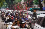 Người dân Hà Nội rạng rỡ chở đào, quà Tết về quê sau ngày làm việc cuối năm