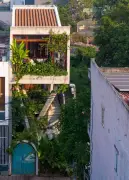 Ngôi nhà 3 tầng 'lá phổi xanh' giữa phố, nơi trẻ em lớn lên cùng thiên nhiên