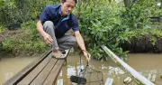 Người Tiên Phong Nuôi Ngọc Trai Nước Ngọt Ở Cù Lao Thới Sơn, Đồng Tháp
