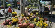 Ngày 29 Tết, chợ hoa TP.HCM sôi động với giá 'mềm', tiểu thương không đập bỏ hoa ế