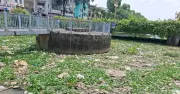 Ô nhiễm nghiêm trọng tại kênh Nhiêu Lộc - Thị Nghè, TP.HCM: Rác thải và lục bình tràn ngập