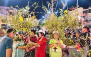 Nhộn nhịp mua bán nhánh mai vàng đón Tết Bính Ngọ tại An Giang