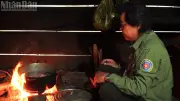Những Người Giữ Rừng Đón Tết Giữa Đại Ngàn: Bếp Lửa Ấm Và Trách Nhiệm Xanh