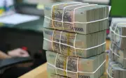 Núi Tiền Khổng Lồ: Top Doanh Nghiệp Việt Tích Lũy Hàng Trăm Nghìn Tỷ Đồng Sau Báo Cáo 2025