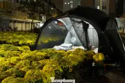 Đà Nẵng: Tiểu thương thức trắng đêm canh hoa Tết giữa lều bạt tạm bợ ven đường